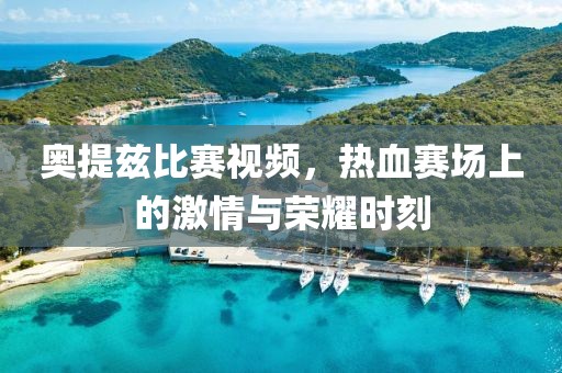奧提茲比賽視頻，熱血賽場上的激情與榮耀時刻