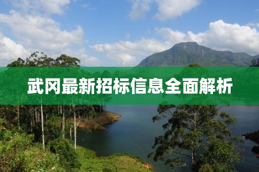 武岡最新招標(biāo)信息全面解析