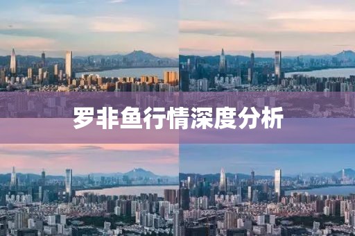 羅非魚行情深度分析