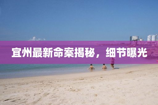 宜州最新命案揭秘，細(xì)節(jié)曝光