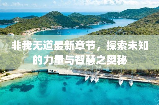 非我無道最新章節(jié)，探索未知的力量與智慧之奧秘