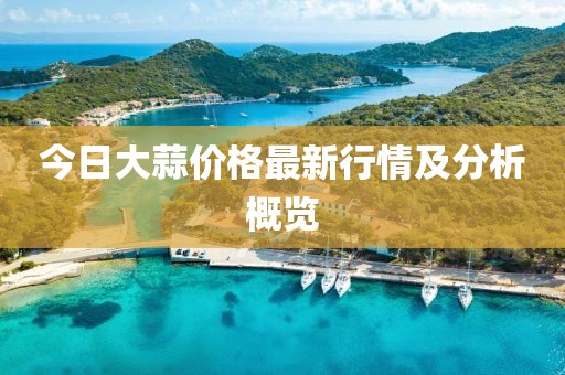 今日大蒜價格最新行情及分析概覽