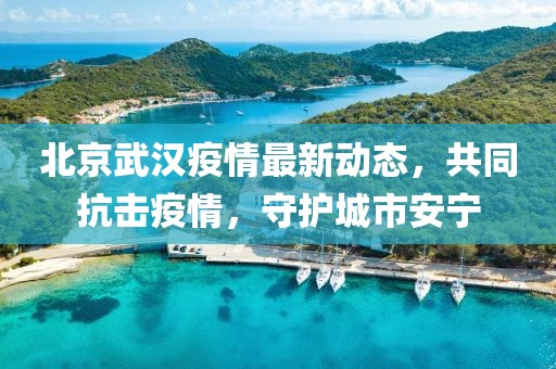 北京武漢疫情最新動態(tài)，共同抗擊疫情，守護(hù)城市安寧