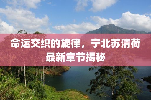 命運(yùn)交織的旋律，寧北蘇清荷最新章節(jié)揭秘