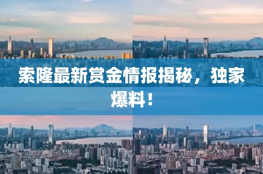 索隆最新賞金情報揭秘，獨家爆料！