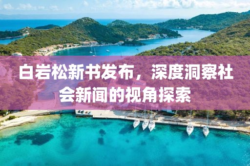 白巖松新書發(fā)布，深度洞察社會新聞的視角探索