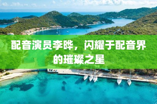 配音演員李曄，閃耀于配音界的璀璨之星