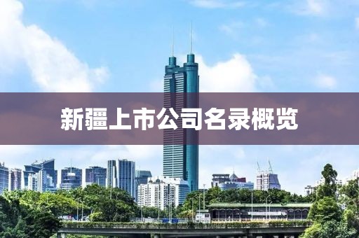 新疆上市公司名錄概覽