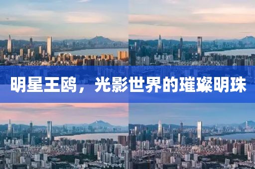 明星王鷗，光影世界的璀璨明珠
