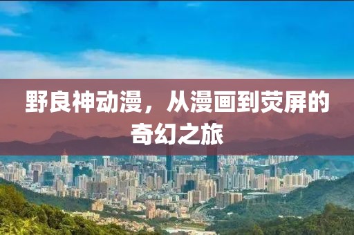 野良神動(dòng)漫，從漫畫到熒屏的奇幻之旅