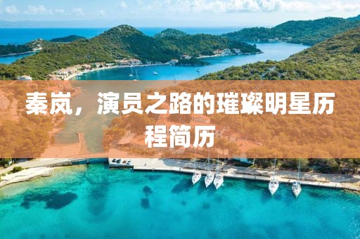 秦嵐，演員之路的璀璨明星歷程簡歷
