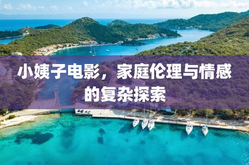 小姨子電影，家庭倫理與情感的復雜探索