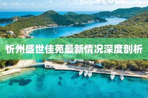 忻州盛世佳苑最新情況深度剖析