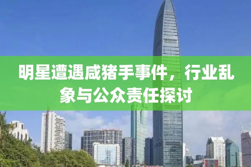 明星遭遇咸豬手事件，行業(yè)亂象與公眾責(zé)任探討