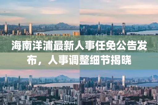 海南洋浦最新人事任免公告發(fā)布，人事調(diào)整細節(jié)揭曉