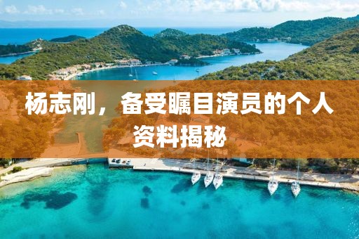 楊志剛，備受矚目演員的個(gè)人資料揭秘