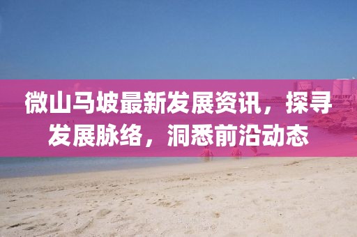 微山馬坡最新發(fā)展資訊，探尋發(fā)展脈絡(luò)，洞悉前沿動態(tài)