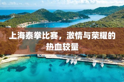 上海泰拳比賽，激情與榮耀的熱血較量