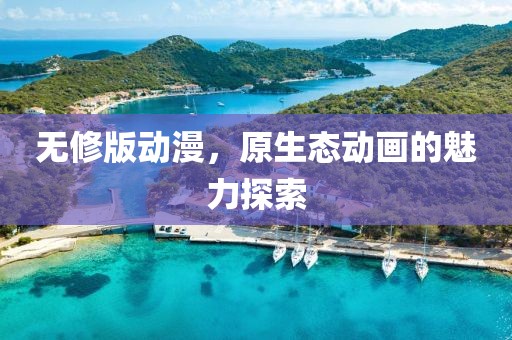 無修版動漫，原生態(tài)動畫的魅力探索