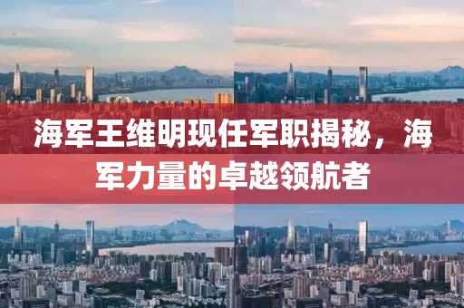 海軍王維明現(xiàn)任軍職揭秘，海軍力量的卓越領(lǐng)航者