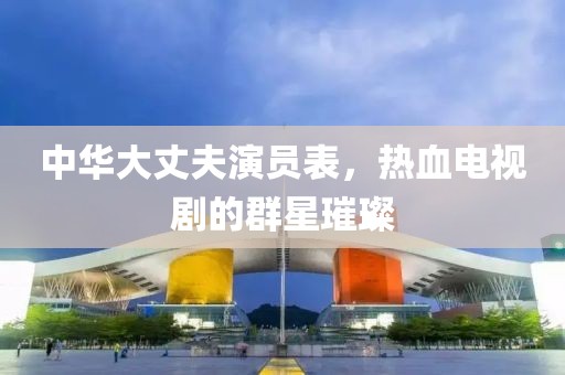 中華大丈夫演員表，熱血電視劇的群星璀璨