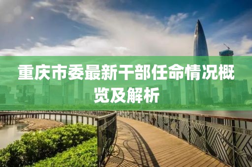 重慶市委最新干部任命情況概覽及解析