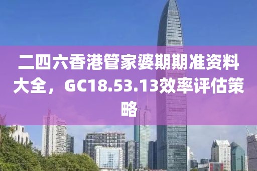 二四六香港管家婆期期準(zhǔn)資料大全，GC18.53.13效率評(píng)估策略