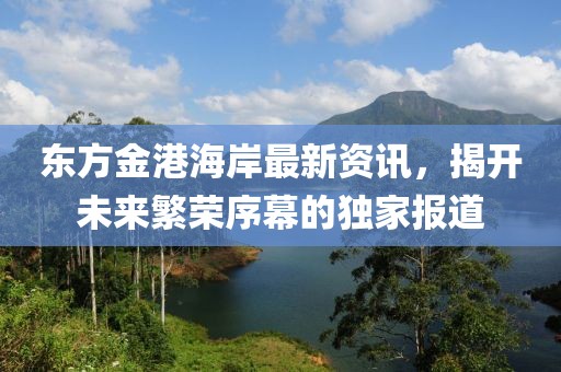 東方金港海岸最新資訊，揭開未來繁榮序幕的獨家報道