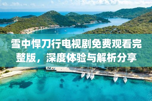 雪中悍刀行電視劇免費(fèi)觀看完整版，深度體驗(yàn)與解析分享