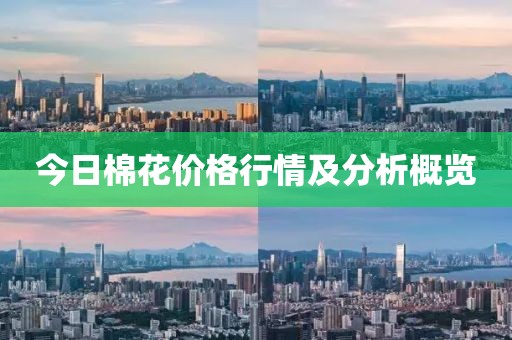 今日棉花價格行情及分析概覽