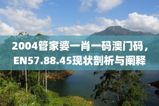 2004管家婆一肖一碼澳門碼，EN57.88.45現(xiàn)狀剖析與闡釋
