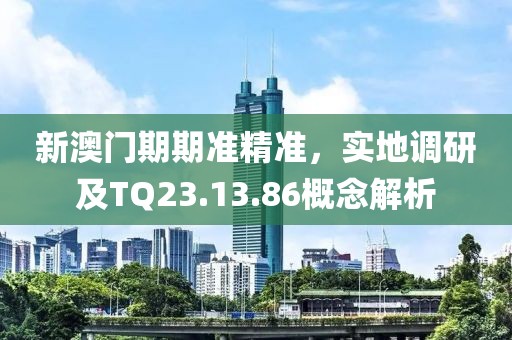 新澳門期期準(zhǔn)精準(zhǔn)，實(shí)地調(diào)研及TQ23.13.86概念解析