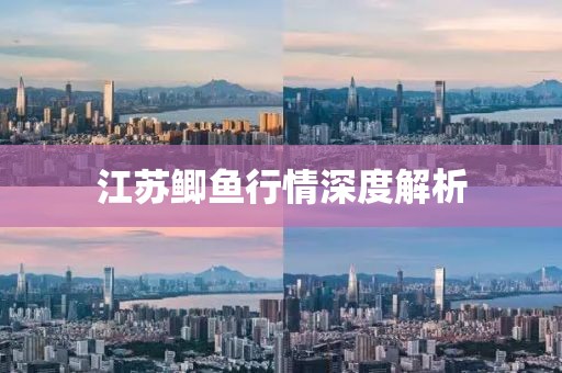 江蘇鯽魚行情深度解析