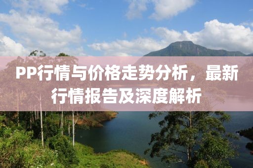 PP行情與價格走勢分析，最新行情報告及深度解析