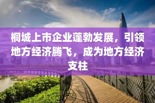 桐城上市企業(yè)蓬勃發(fā)展，引領(lǐng)地方經(jīng)濟(jì)騰飛，成為地方經(jīng)濟(jì)支柱
