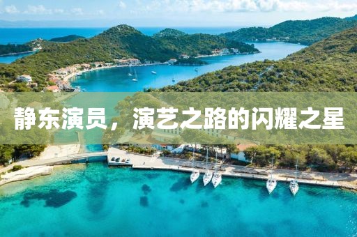 靜東演員，演藝之路的閃耀之星
