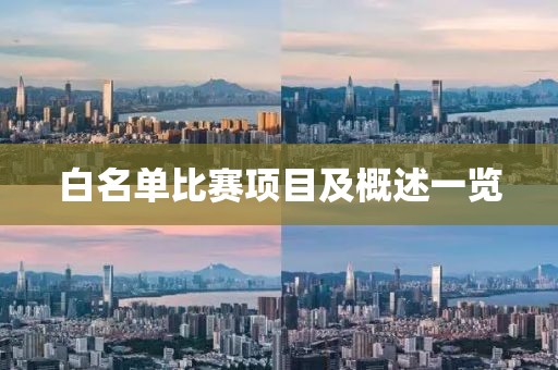 白名單比賽項目及概述一覽