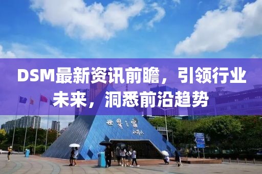 DSM最新資訊前瞻，引領(lǐng)行業(yè)未來(lái)，洞悉前沿趨勢(shì)
