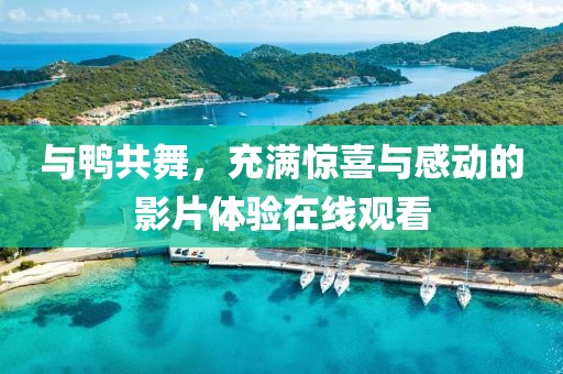與鴨共舞，充滿驚喜與感動的影片體驗在線觀看