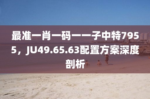最準(zhǔn)一肖一碼一一子中特7955，JU49.65.63配置方案深度剖析
