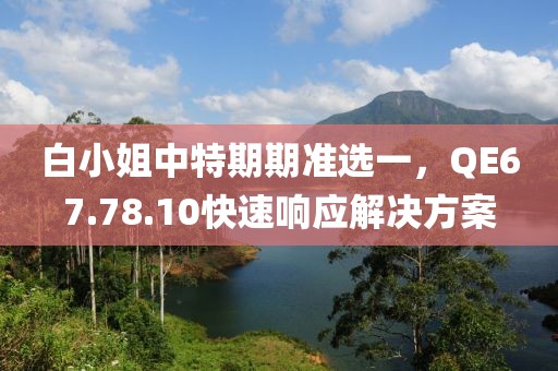 白小姐中特期期準(zhǔn)選一，QE67.78.10快速響應(yīng)解決方案