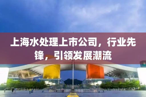 上海水處理上市公司，行業(yè)先鋒，引領(lǐng)發(fā)展潮流