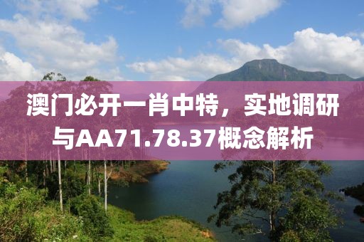 澳門必開一肖中特，實地調(diào)研與AA71.78.37概念解析