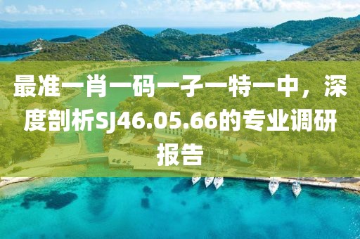 最準(zhǔn)一肖一碼一孑一特一中，深度剖析SJ46.05.66的專業(yè)調(diào)研報(bào)告