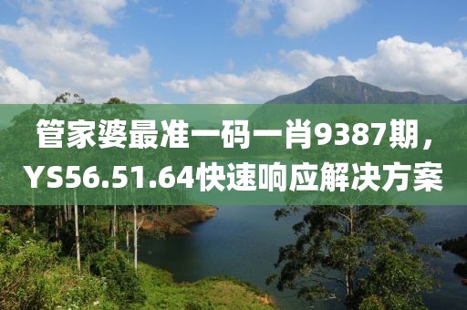 管家婆最準(zhǔn)一碼一肖9387期，YS56.51.64快速響應(yīng)解決方案