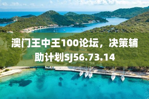 澳門王中王100論壇，決策輔助計(jì)劃SJ56.73.14