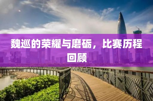 魏巡的榮耀與磨礪，比賽歷程回顧