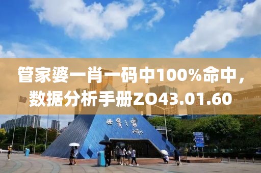 管家婆一肖一碼中100%命中，數(shù)據(jù)分析手冊(cè)ZO43.01.60