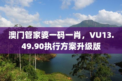 澳門管家婆一碼一肖，VU13.49.90執(zhí)行方案升級版