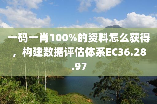 一碼一肖100%的資料怎么獲得，構(gòu)建數(shù)據(jù)評估體系EC36.28.97